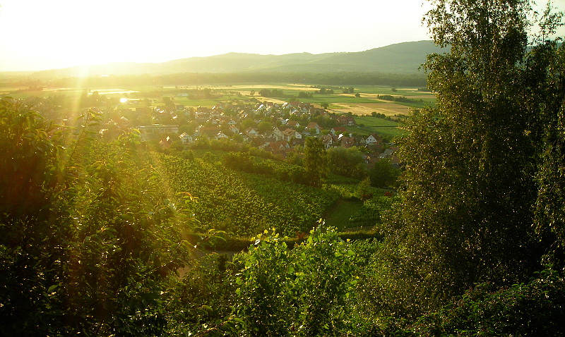 Blick auf Merdingen